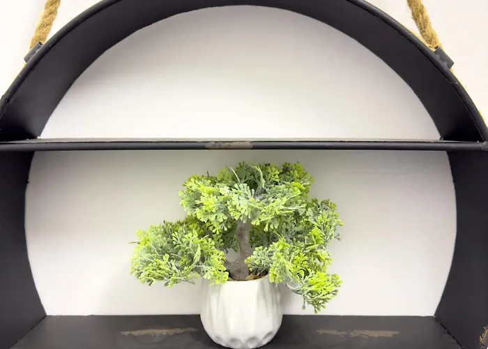 아파트 Adamas 첼레